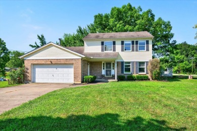Lake Home For Sale in Fayetteville, Ohio