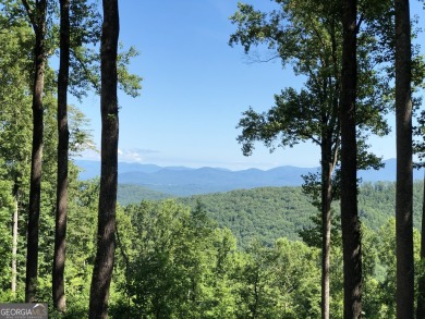 Lake Acreage For Sale in Ellijay, Georgia