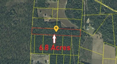 Lake Acreage For Sale in Cross, South Carolina