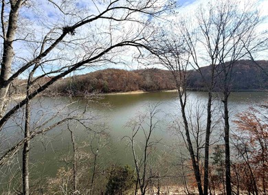 Lake Condo For Sale in Bloomington, Indiana