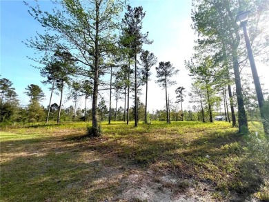 (private lake, pond, creek) Lot For Sale in Brunswick Georgia