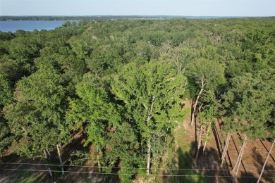 Lake Acreage For Sale in Larue, Texas