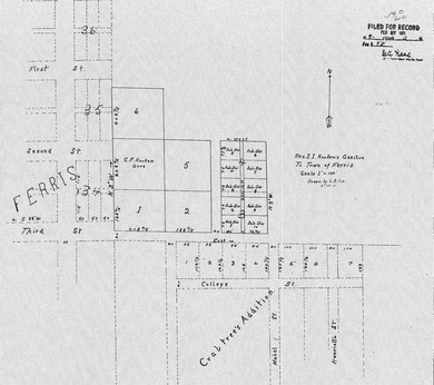 'PAPER' SINGLE-FAMILY LOT, LOT IS 75 X 97, NO UTILITIES, NO ROAD - photo 4