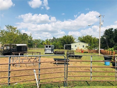 EQUESTRIAN 50+ ACRES IS A RARE FIND IN LEE COUNTY WITH LARGE CBS - photo 9