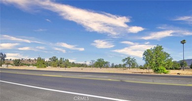 Prime Lakefront Commercial Development Opportunity in Lake - photo 7