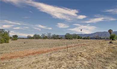 Prime Lakefront Commercial Development Opportunity in Lake - photo 8
