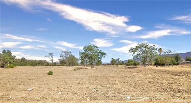 Prime Lakefront Commercial Development Opportunity in Lake - photo 10