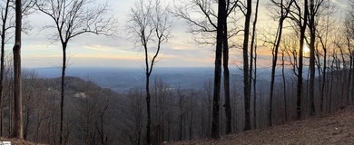 Nestled in the mountains just minutes from Greenville, SC, make - photo 2