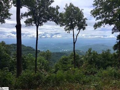 Nestled in the mountains just minutes from Greenville, SC, make - photo 3
