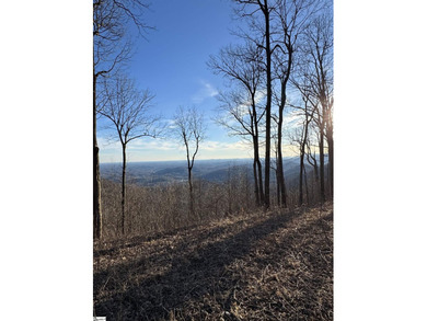 Nestled in the mountains just minutes from Greenville, SC, make - photo 4