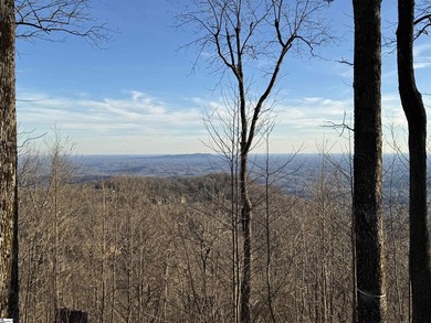 Nestled in the mountains just minutes from Greenville, SC, make - photo 5