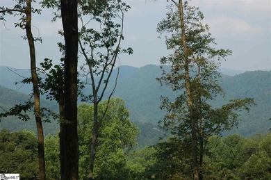 Nestled in the mountains just minutes from Greenville, SC, make - photo 7