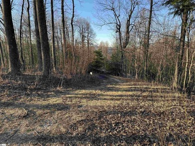 Nestled in the mountains just minutes from Greenville, SC, make - photo 8