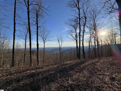 Nestled in the mountains just minutes from Greenville, SC, make - photo 9