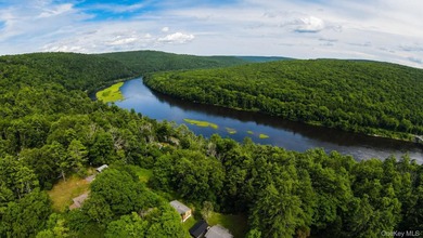 Welcome to your private Sullivan County sanctuary, tucked away - photo 39