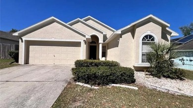 Lake Hooker Home For Sale in Seffner Florida