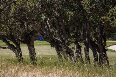 Welcome to Lot 92 located within the gated community of Tehama - photo 2