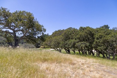 Welcome to Lot 92 located within the gated community of Tehama - photo 3