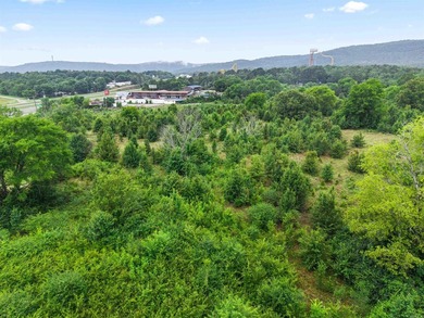 Prime commercial development opportunity- 16.03 acres with all - photo 13