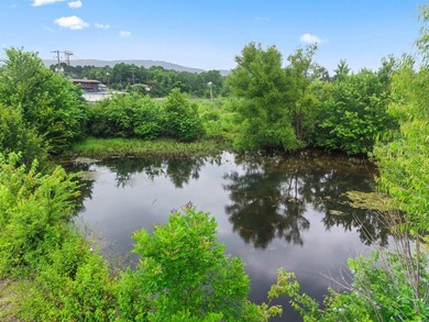 Prime commercial development opportunity- 16.03 acres with all - photo 19