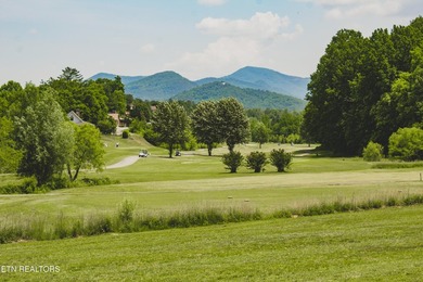 Discover the perfect balance of mountain luxury and peaceful - photo 45