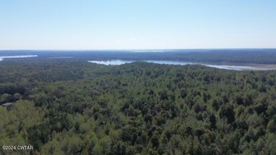 Lake Acreage For Sale in Camden, Tennessee