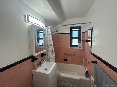Clearview Gardens Coop One Bedroom (Lower Level Unit ,610 Square - photo 13