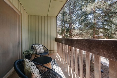 Beautifully located condo just a block away from the base area - photo 11
