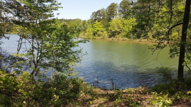 Lake Lot Off Market in Saulsbury, Tennessee