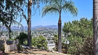 Views, views and more views from this beautiful single story - photo 40