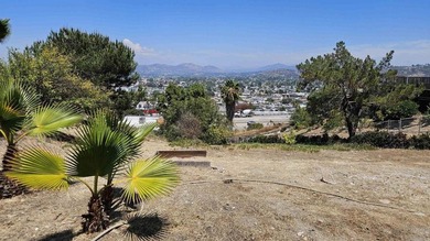 Views, views and more views from this beautiful single story - photo 41