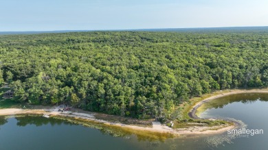 Lake Acreage For Sale in Bitely, Michigan