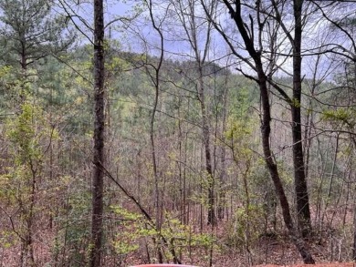 Lake Hiwassee Acreage For Sale in Murphy North Carolina