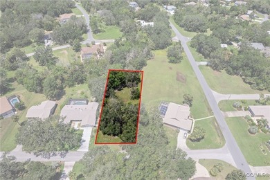 Homosassa River Lot For Sale in Homosassa Florida