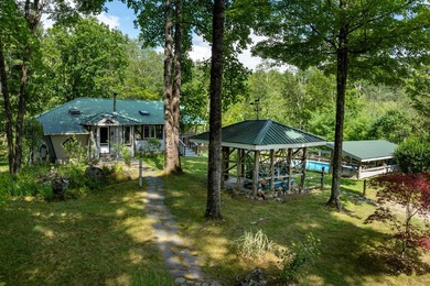 Lake Access, 3+ acres, Inground Pool, and room for expansion! - photo 6