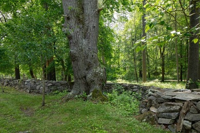 Lake Access, 3+ acres, Inground Pool, and room for expansion! - photo 10