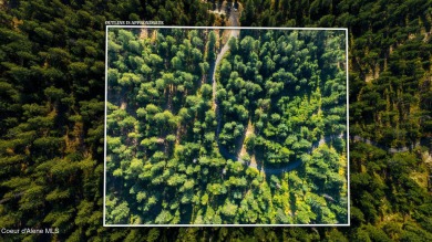 (private lake, pond, creek) Acreage For Sale in Coeur d Alene Idaho