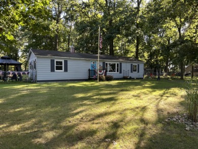 Lake Home For Sale in Colon, Michigan