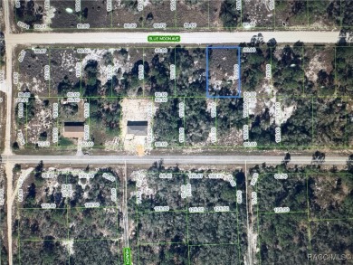 Lake Grassy Lot For Sale in Lake Placid Florida