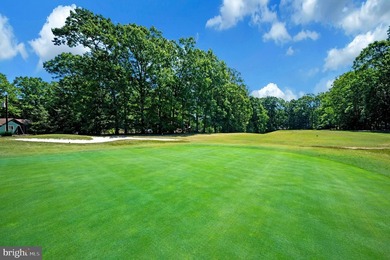 A premium Par 3 Golf Course lot that backs up to putting green - photo 49