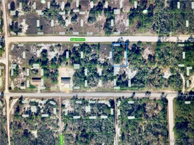 Lake Grassy Lot For Sale in Lake Placid Florida