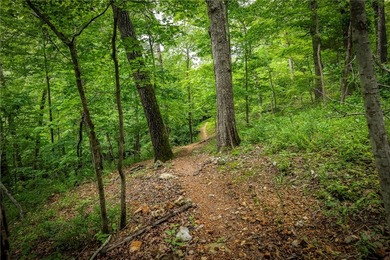 Tucked among the trees with direct access to the Lago Vista East - photo 3