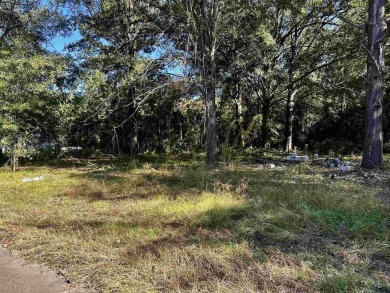 Lake Lot For Sale in Ore City, Texas