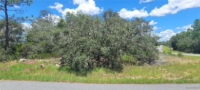 Rush Lake Lot For Sale in Citrus Springs Florida