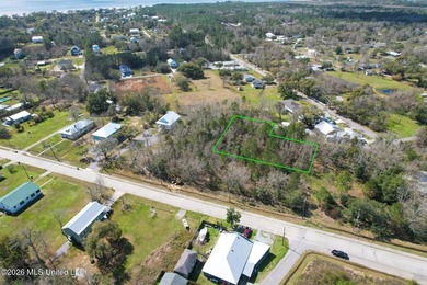 Just blocks from Waveland Beach, this prime 0.5+ acre lot offers - photo 1