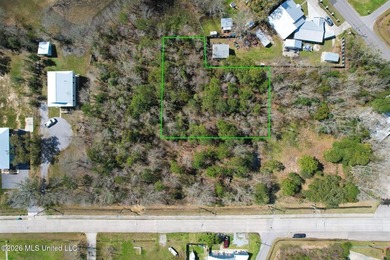 Just blocks from Waveland Beach, this prime 0.5+ acre lot offers - photo 8