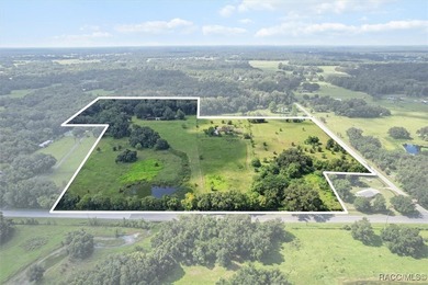 (private lake, pond, coastal) Home For Sale in Bushnell Florida