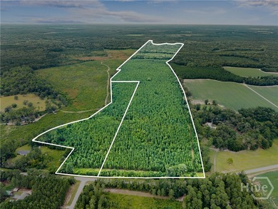 (private lake, pond, coastal) Acreage For Sale in Statesboro Georgia