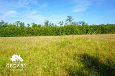 Lake Acreage For Sale in Soperton, Georgia