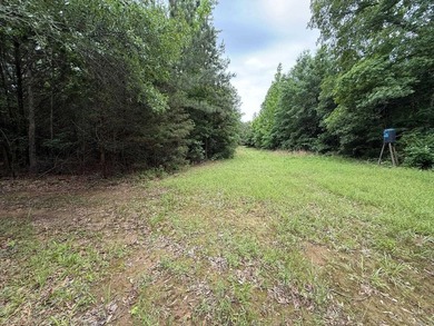 Enjoy peaceful country living just minutes from town on this - photo 11
